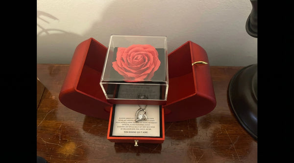 Dotarł w doskonałym!